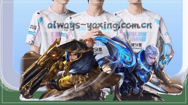 反馈在手，准备就绪
